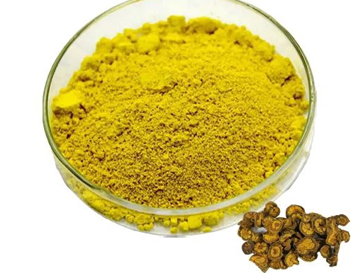How much berberine should I take a day to lose weight.png